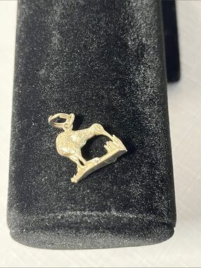 Vintage Sterling Silver charm Kiwi Bird Charm Pendant
Stamped